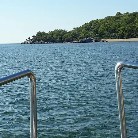 Dolphin & Hotel 4*